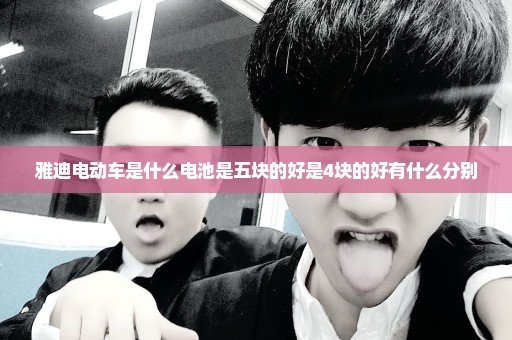 雅迪电动车是什么电池是五块的好是4块的好有什么分别