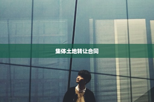 集体土地转让合同