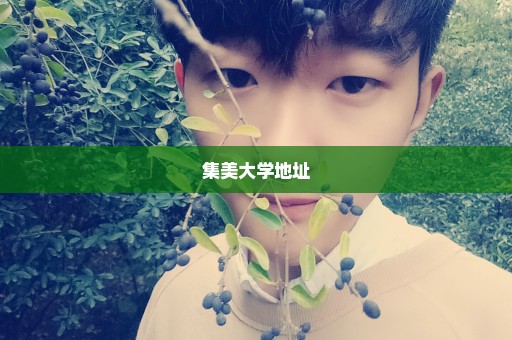 集美大学地址