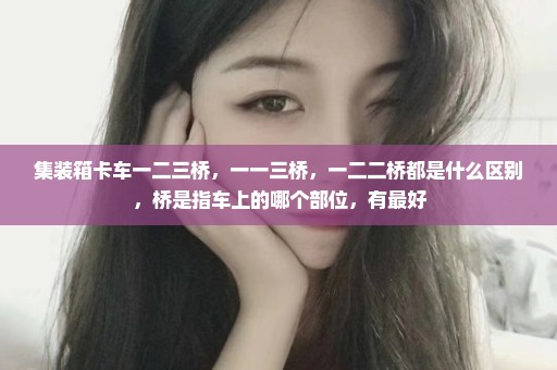 集装箱卡车一二三桥，一一三桥，一二二桥都是什么区别，桥是指车上的哪个部位，有最好