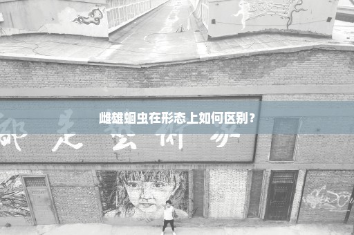 雌雄蛔虫在形态上如何区别？