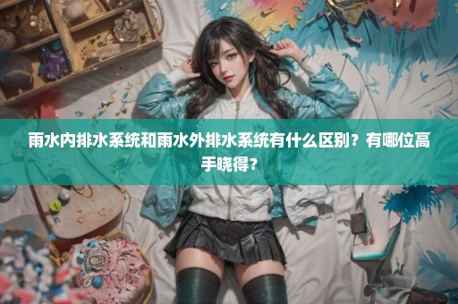 雨水内排水系统和雨水外排水系统有什么区别？有哪位高手晓得？