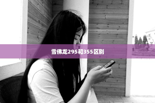 雪佛龙295和355区别