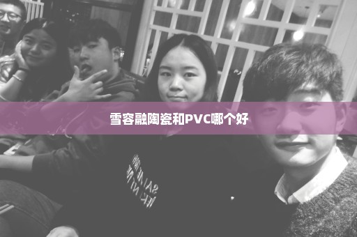 雪容融陶瓷和PVC哪个好