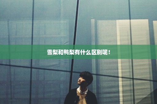 雪梨和鸭梨有什么区别呢！