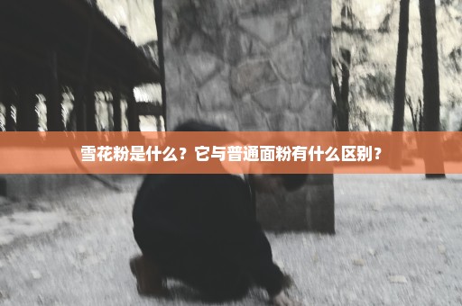 雪花粉是什么？它与普通面粉有什么区别？
