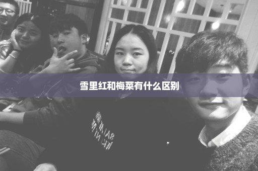 雪里红和梅菜有什么区别