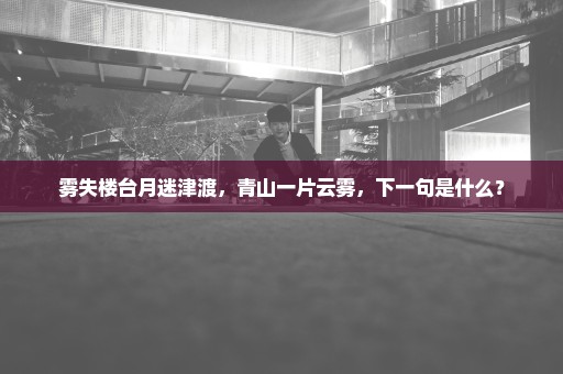雾失楼台月迷津渡，青山一片云雾，下一句是什么？
