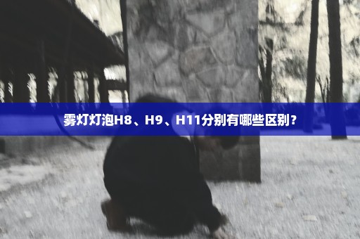 雾灯灯泡H8、H9、H11分别有哪些区别？