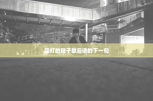 霜打的茄子歇后语的下一句