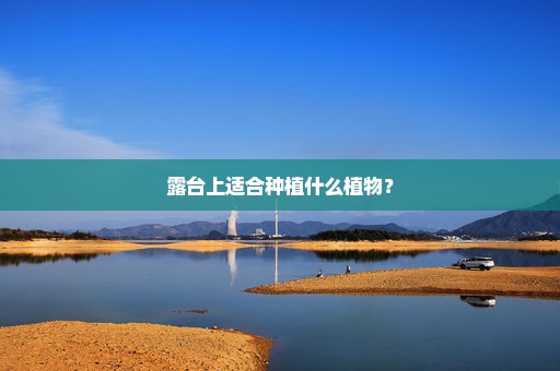 露台上适合种植什么植物？
