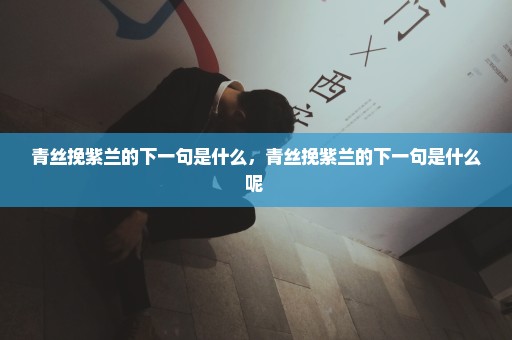 青丝挽紫兰的下一句是什么，青丝挽紫兰的下一句是什么呢 