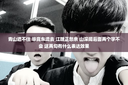 青山遮不住 毕竟东流去 江晚正愁余 山深闻后面两个字不会 这两句有什么表达效果