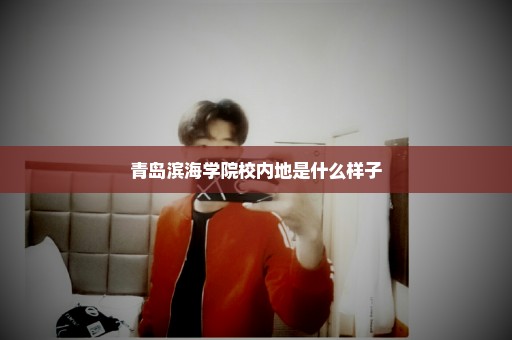 青岛滨海学院校内地是什么样子