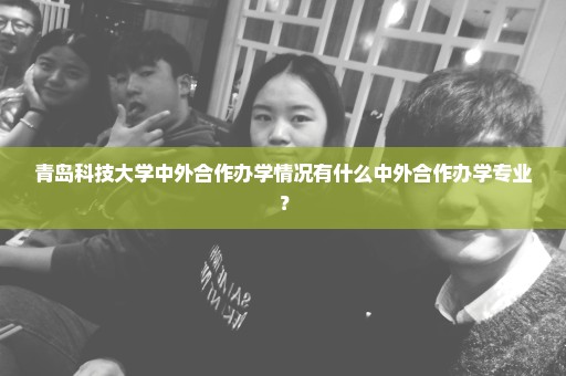 青岛科技大学中外合作办学情况有什么中外合作办学专业？