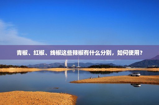青椒、红椒、线椒这些辣椒有什么分别，如何使用？