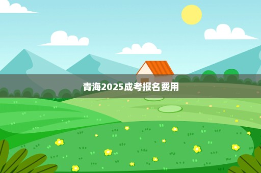 青海2025成考报名费用