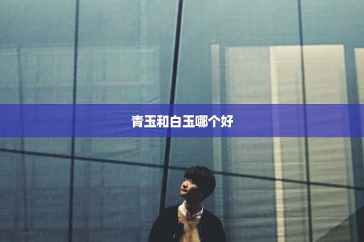 青玉和白玉哪个好