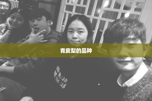 青皮梨的品种