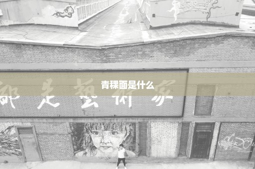 青稞面是什么