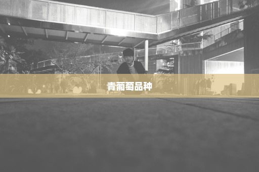 青葡萄品种