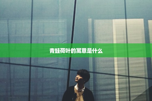 青蛙荷叶的寓意是什么