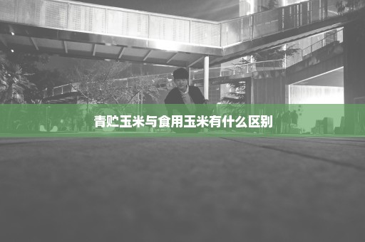 青贮玉米与食用玉米有什么区别