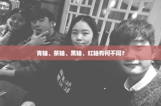 青轴、茶轴、黑轴、红轴有何不同？