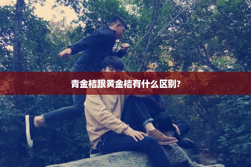 青金桔跟黄金桔有什么区别?