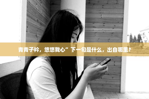 青青子衿，悠悠我心”下一句是什么，出自哪里？