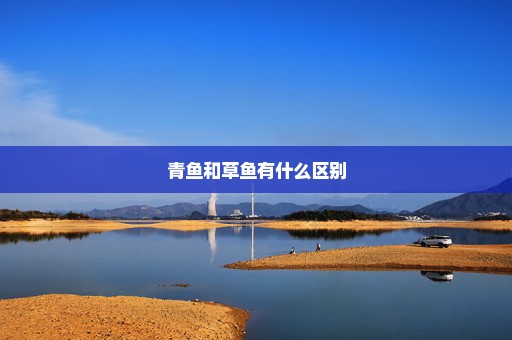 青鱼和草鱼有什么区别