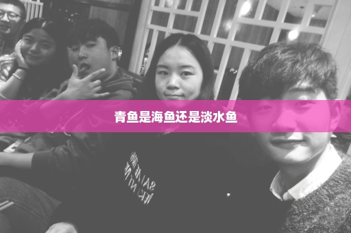 青鱼是海鱼还是淡水鱼
