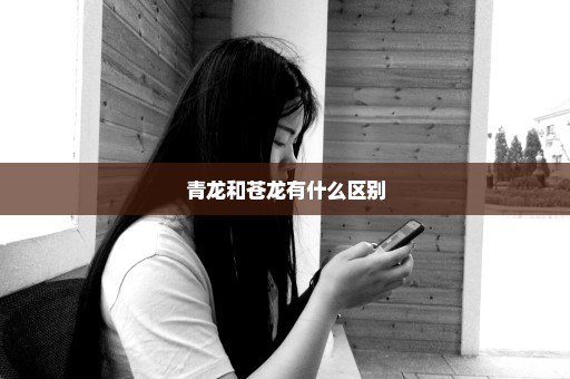 青龙和苍龙有什么区别