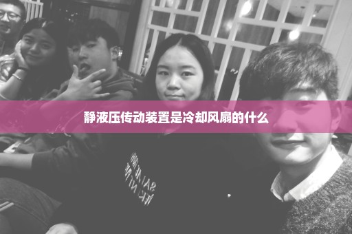 静液压传动装置是冷却风扇的什么