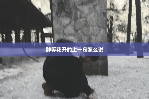 静等花开的上一句怎么说