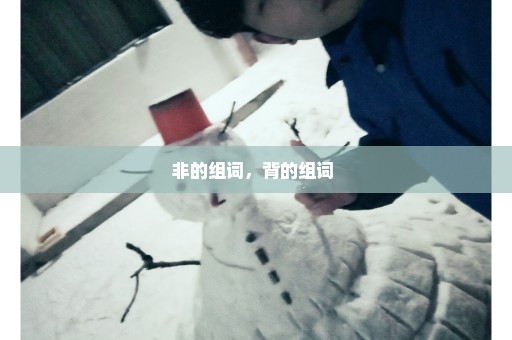 非的组词，背的组词 