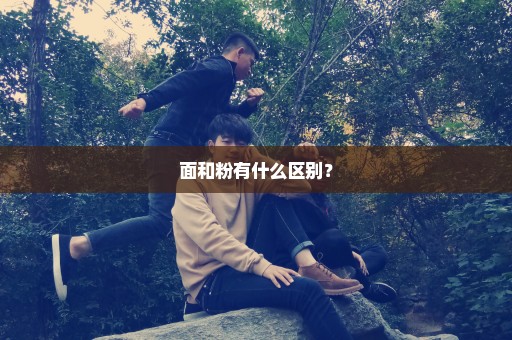 面和粉有什么区别？