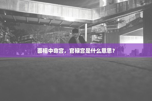 面相中命宫，官禄宫是什么意思？