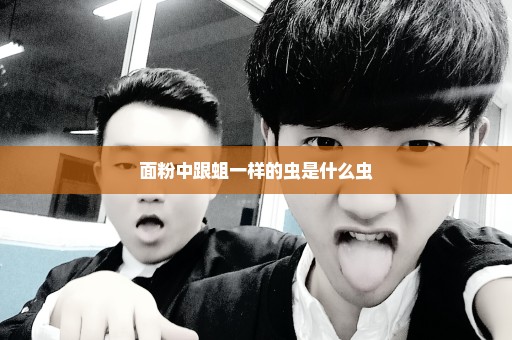 面粉中跟蛆一样的虫是什么虫