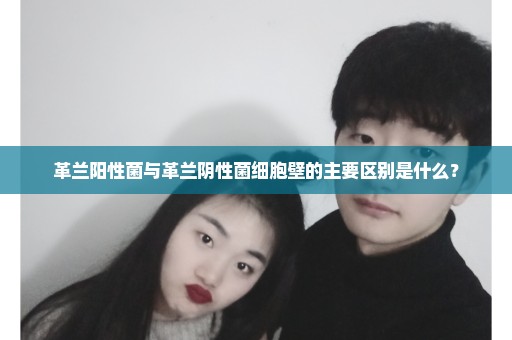 革兰阳性菌与革兰阴性菌细胞壁的主要区别是什么？