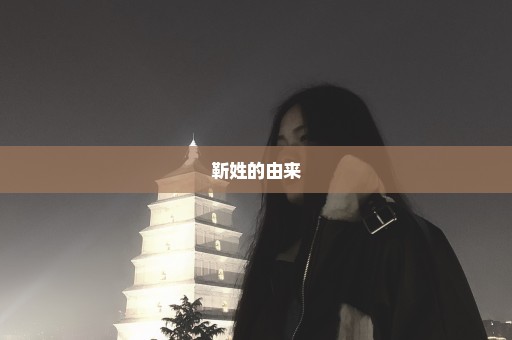 靳姓的由来