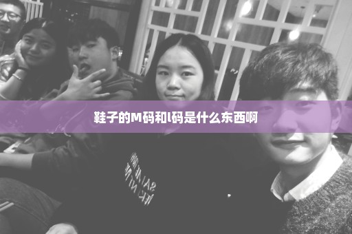 鞋子的M码和l码是什么东西啊