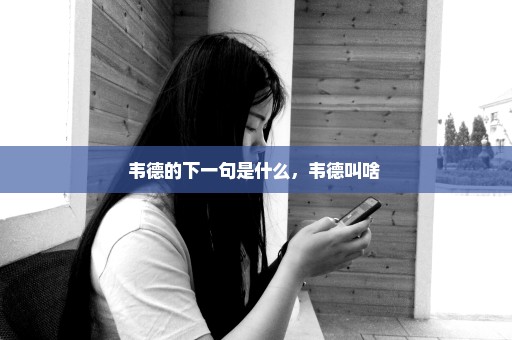 韦德的下一句是什么，韦德叫啥 