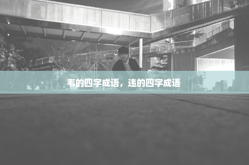 韦的四字成语，违的四字成语 