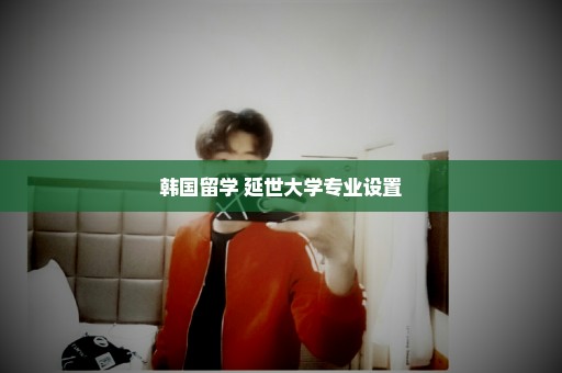 韩国留学 延世大学专业设置