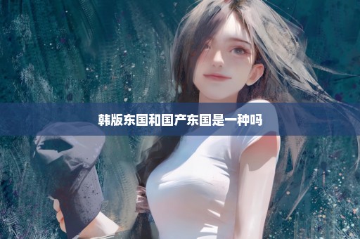 韩版东国和国产东国是一种吗