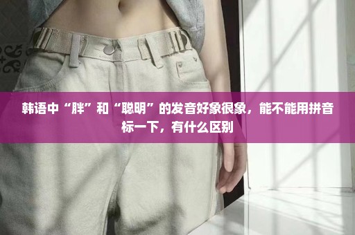 韩语中“胖”和“聪明”的发音好象很象，能不能用拼音标一下，有什么区别