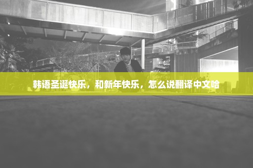韩语圣诞快乐，和新年快乐，怎么说翻译中文哈