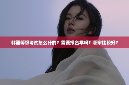 韩语等级考试怎么分的？需要报名学吗？哪家比较好？