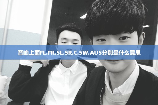 音响上面FL.FR.SL.SR.C.SW.AUS分别是什么意思